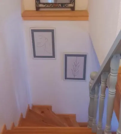 Nil House